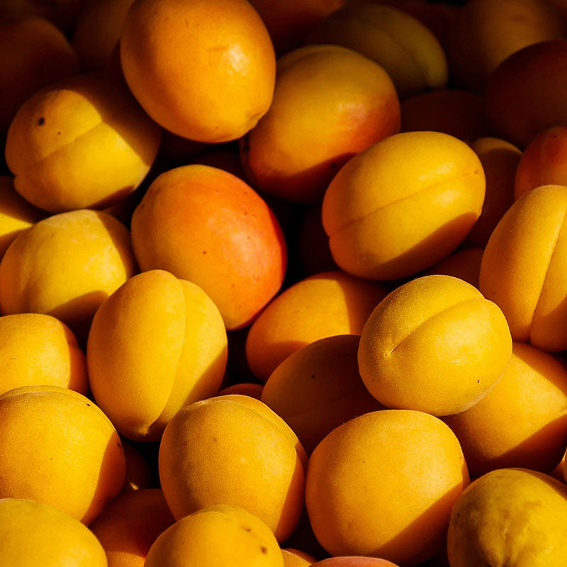 VIENNA BLEND I VIE 4 INTENSE